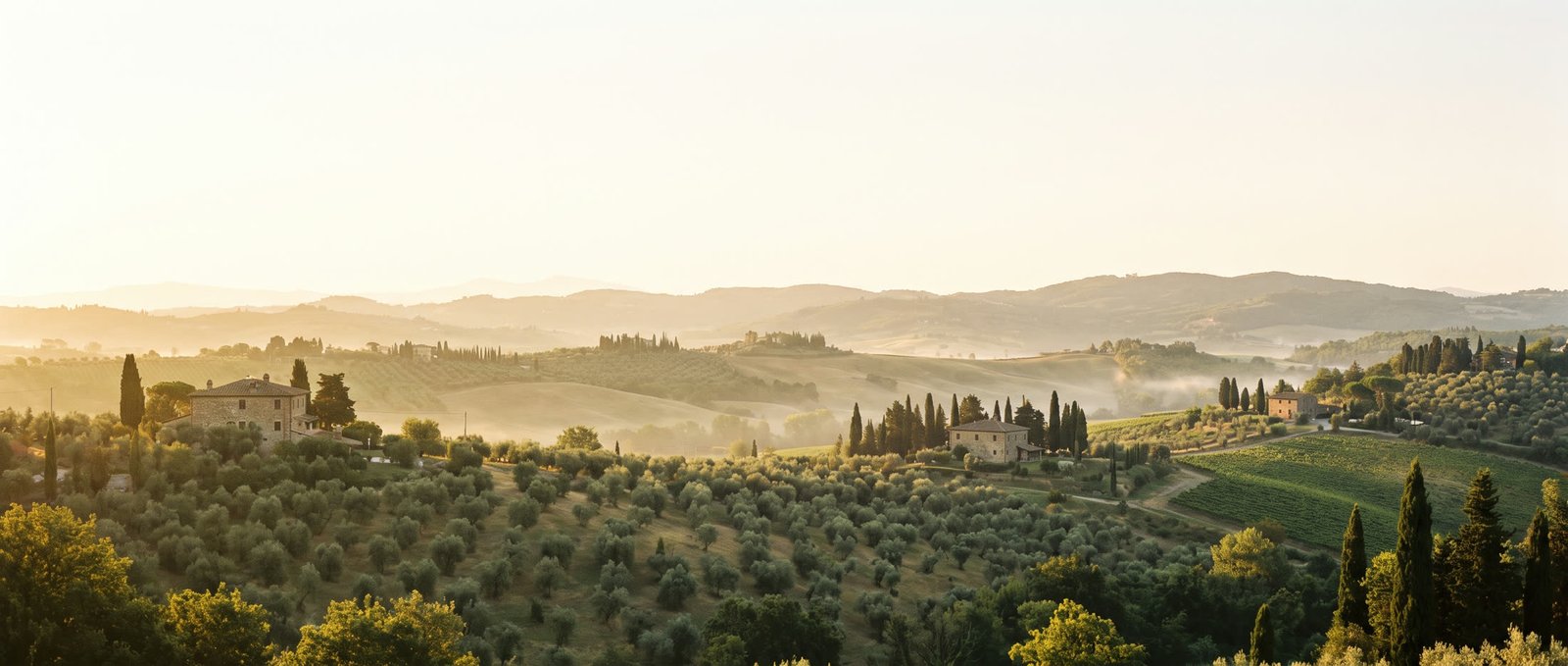 The valley of Bolgheri at first light